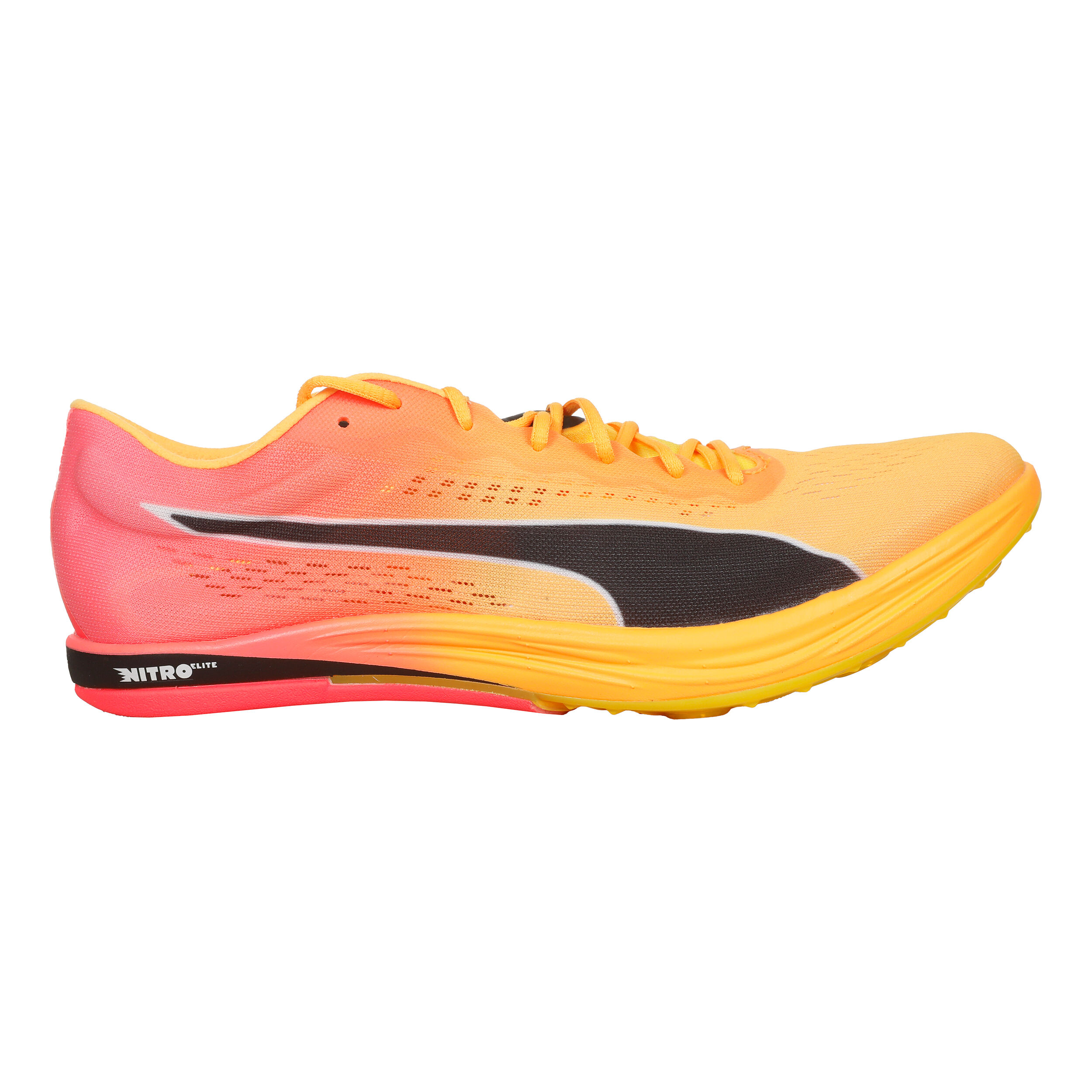 Puma evospeed prix on sale
