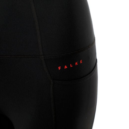 Falke