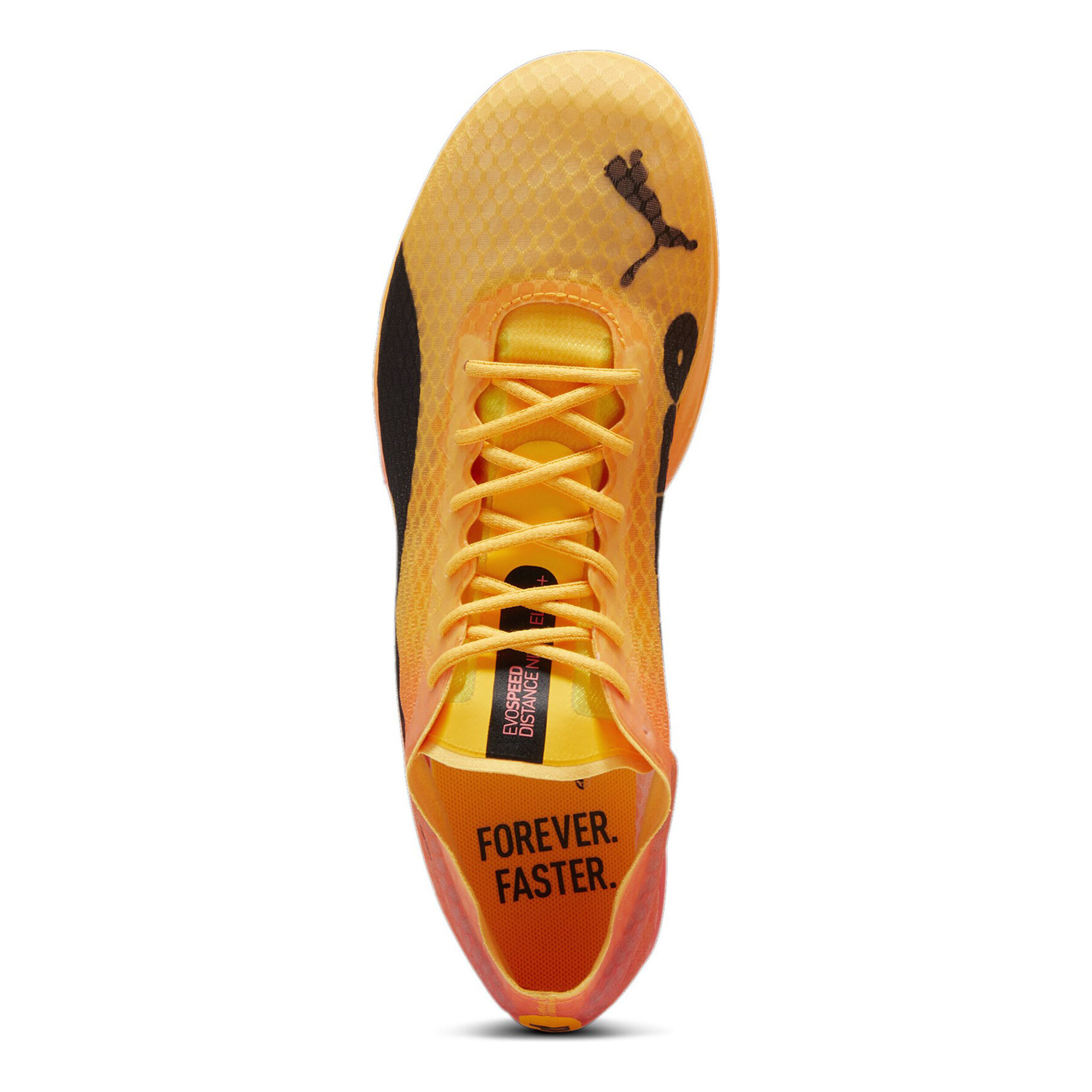 Puma forever faster spikes cheap
