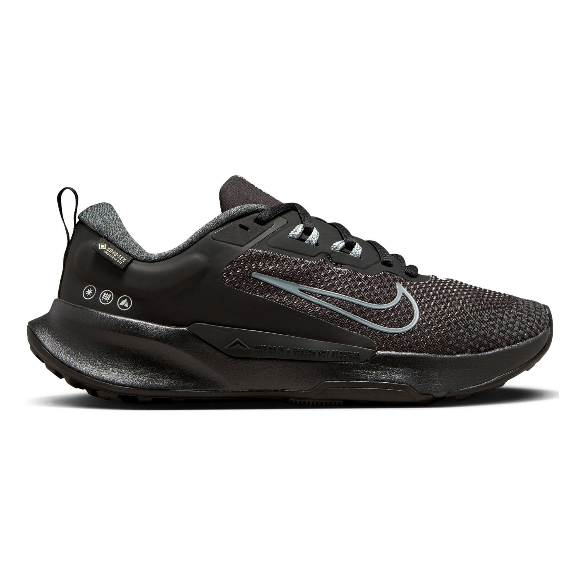 buy Nike Trail 2 GORE-TEX Trail Running Shoe Women Black, Grey online | Running Point