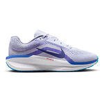Nike Running shoes Nike Winflo 11 Neutral Running Shoe Men-Lightgrey,Blue