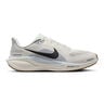 Pegasus 41