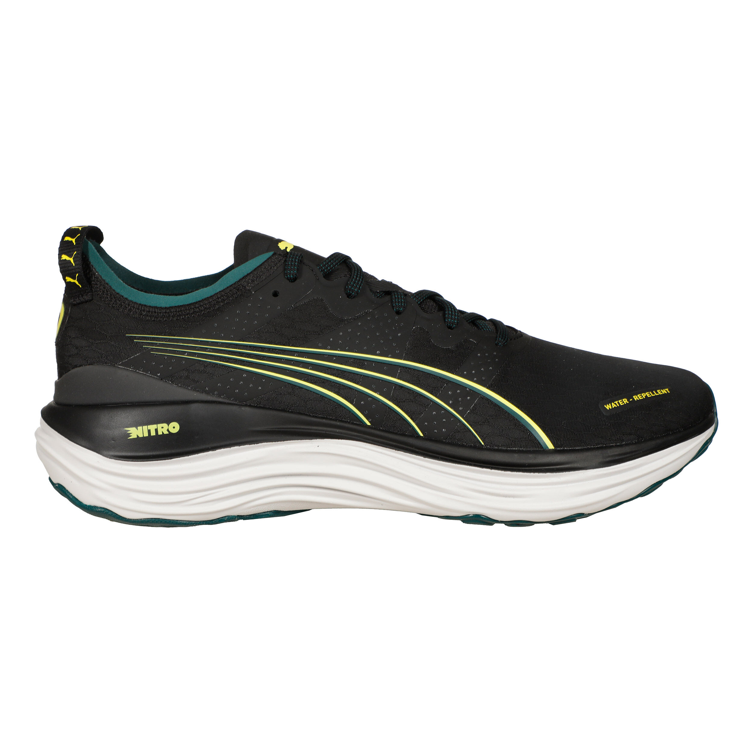 Buy Puma Allround running shoes online Running Point