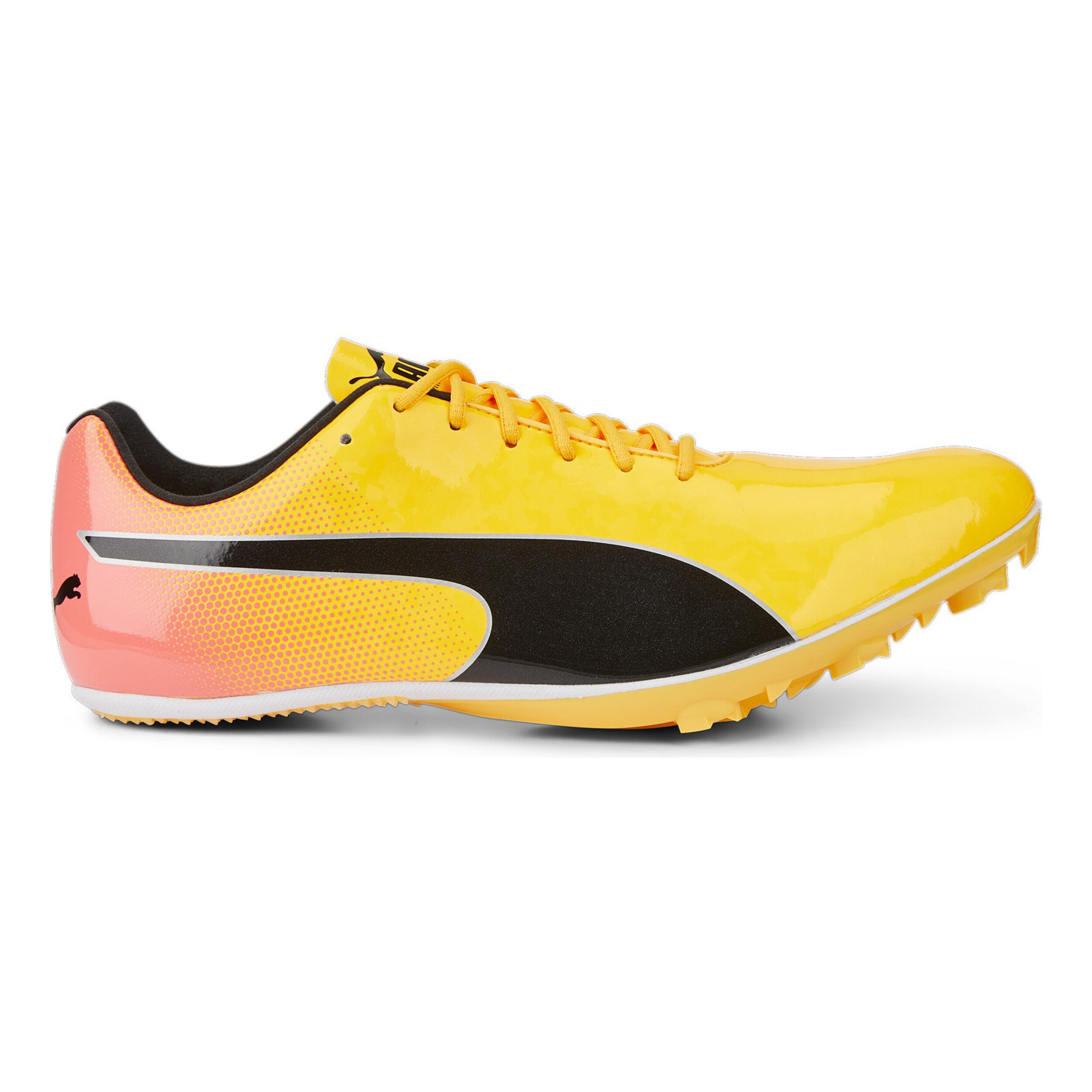 Buy Puma EvoSPEED Sprint 14 Spike Shoes Yellow Orange in size 46 5 online Running Point COM