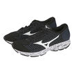 Mizuno